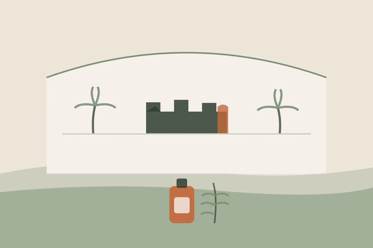 Illustration : massage grossesse et post-partum à Ajaccio, la citadelle et le golfe, des palmiers, un flacon d'huile et un brin végétal, aux couleurs crème et vert sauge de Yes Mama