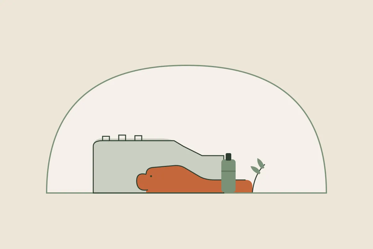 Illustration : massage grossesse et post-partum à Belfort, silhouette du Lion de Belfort au pied de la citadelle dans une arche, avec un flacon d'huile et un brin végétal, aux couleurs crème et vert sauge de Yes Mama