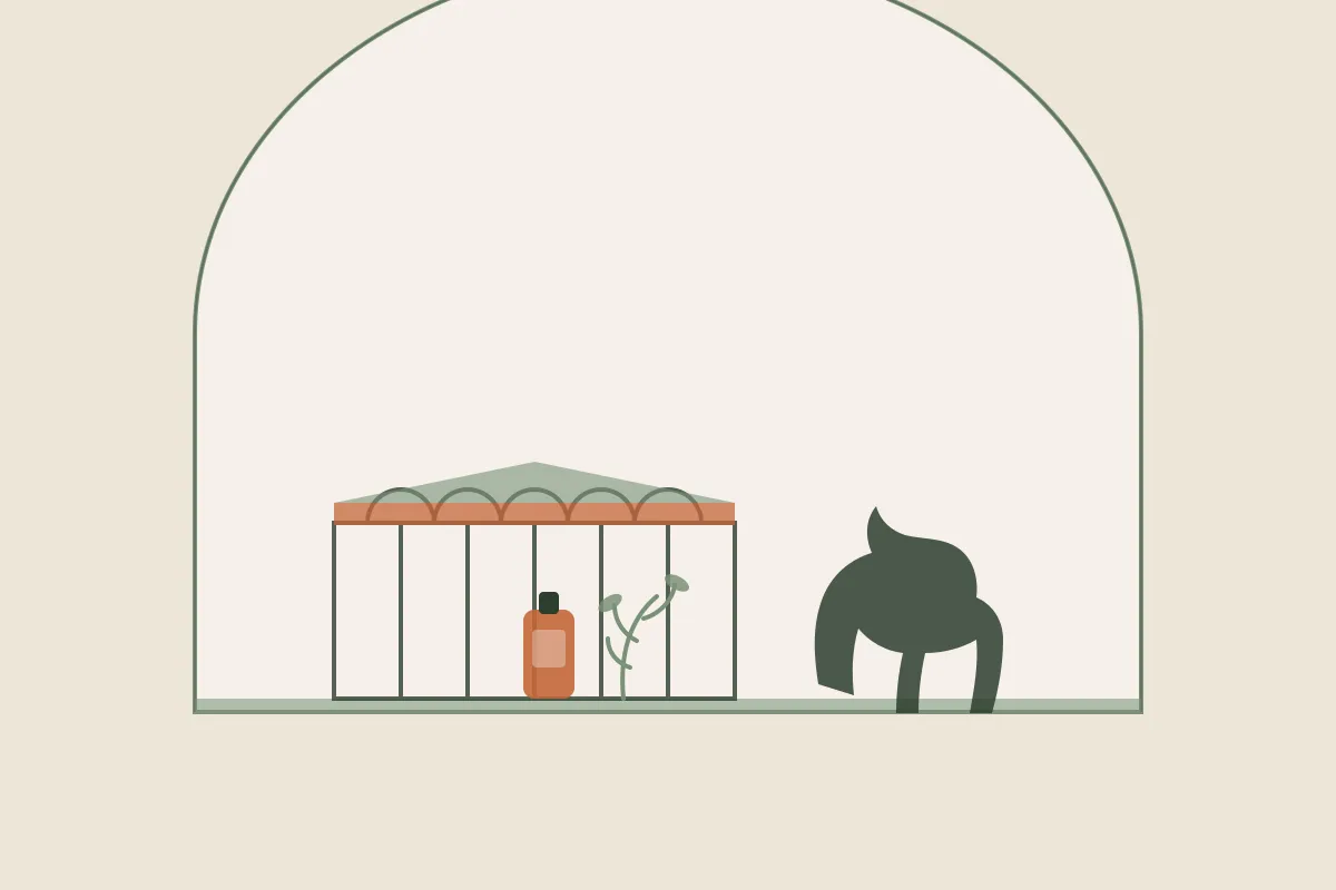 Illustration des arcades de la place Napoléon de La Roche-sur-Yon avec un cheval stylisé du haras, un flacon d'huile de massage et un brin végétal, dans une arche, aux couleurs de Yes Mama